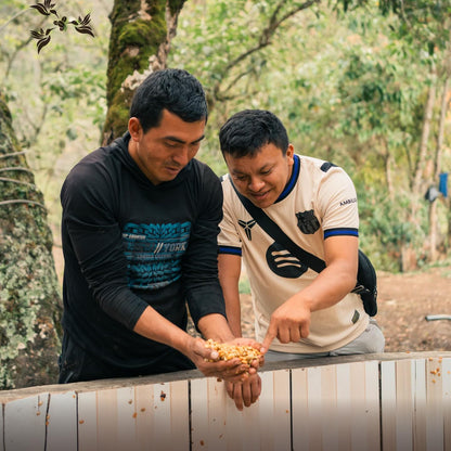 Pucha Peru