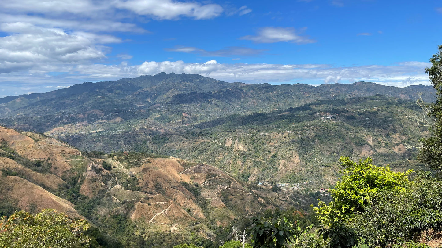 Hellen Mora La Anona Costa Rica