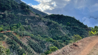 Hellen Mora La Anona Costa Rica